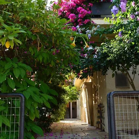 Roula's Διαμέρισμα Χανιά